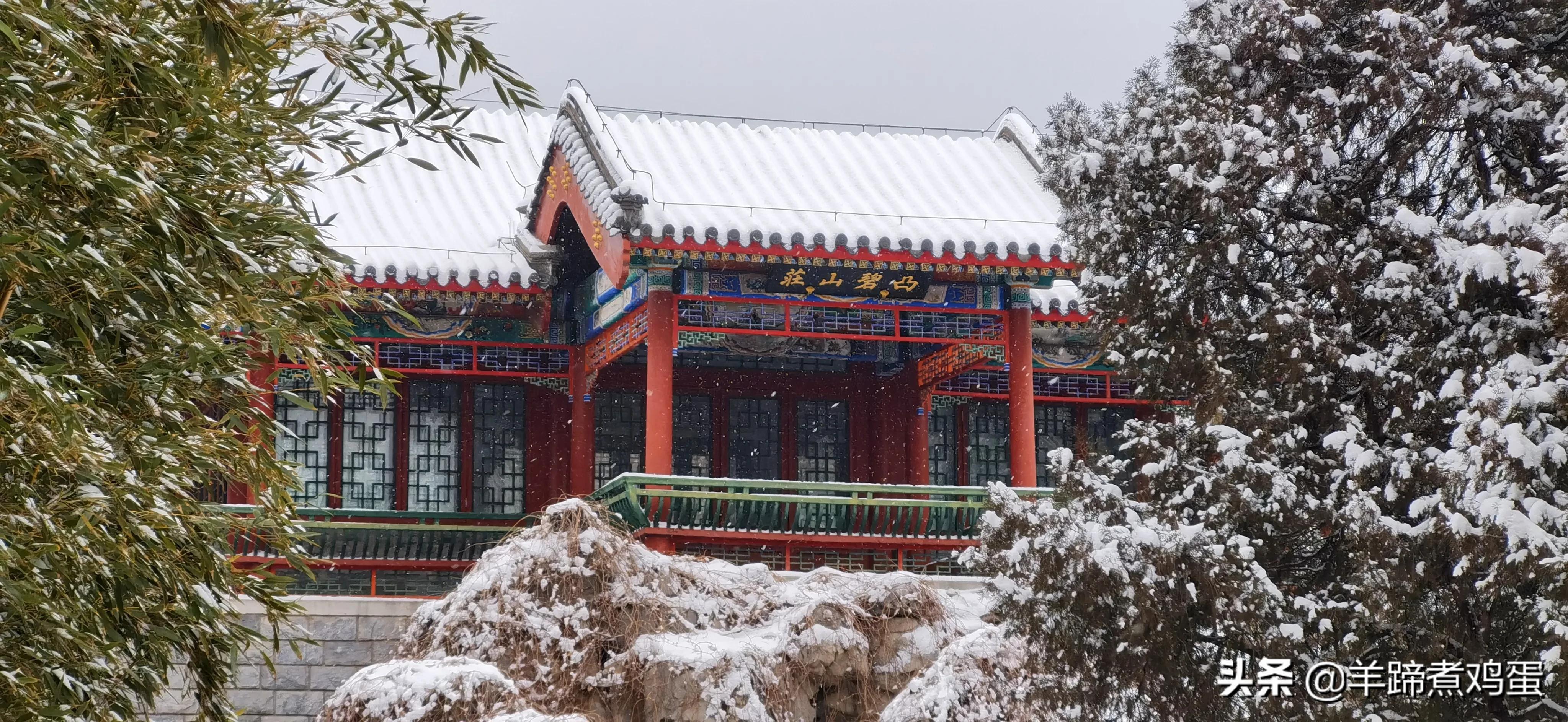 难览观园全画景雪覆腊梅一隅香——踏雪寻游北京大观园