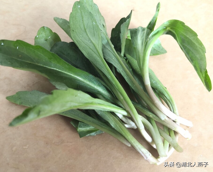 春天挖野菜，送你56种野菜大图片，带你见识不同的野菜和吃法