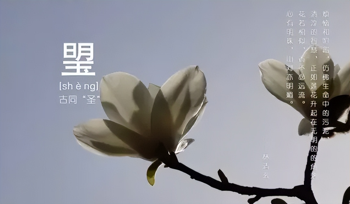 琞怎么读？琞的读音和意思