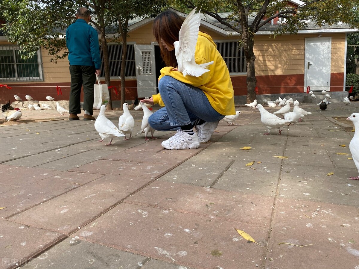 我会牢牢记住你的脸是什么歌（我会牢牢记住你的脸是什么歌名）-第5张图片-科灵网