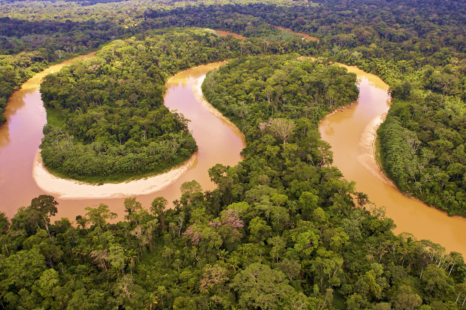巴西最长的河流图片