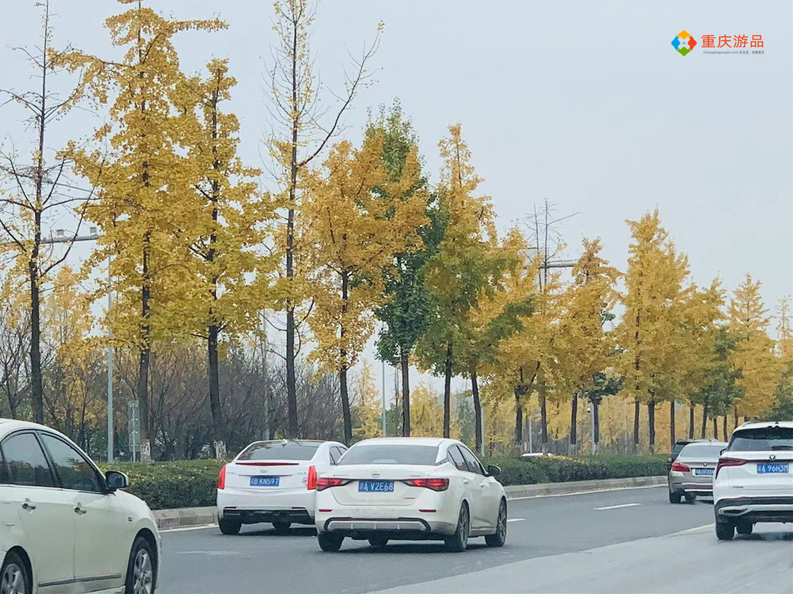 重庆人自己的医保，69元的“渝快保”到底值不值得买？全方位解答