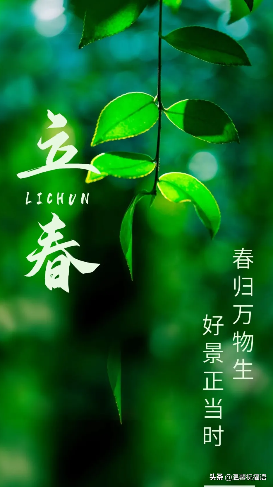 2022立春早上好图片立春祝福语
