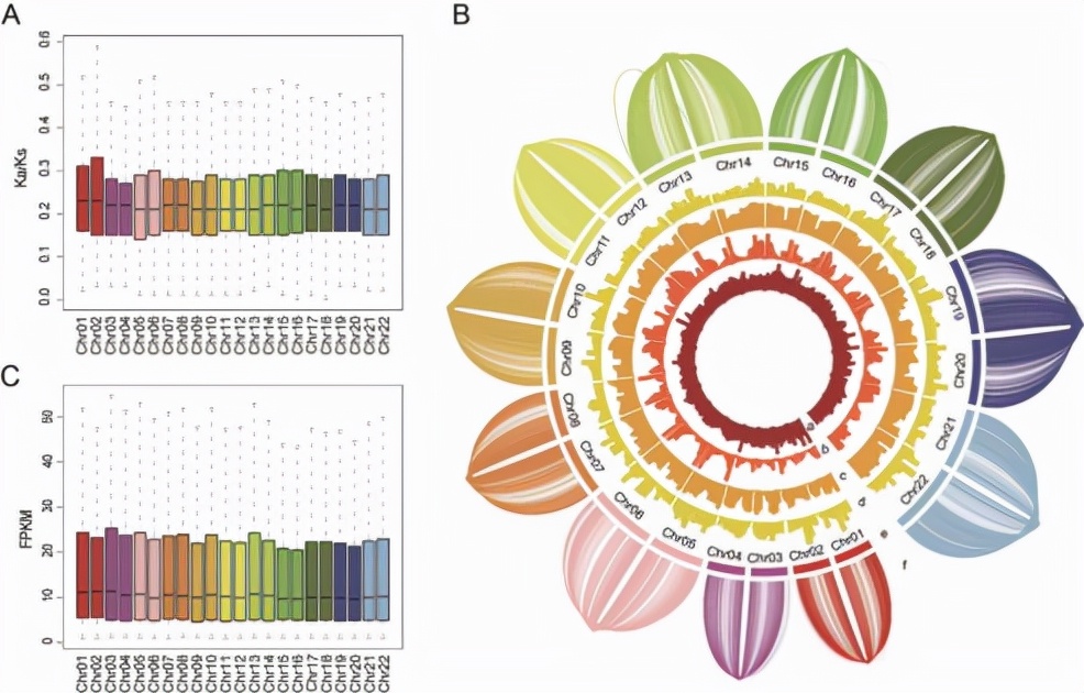 打破国际垄断、实现国内首例！这7人来自湖北，还任职于同所大学