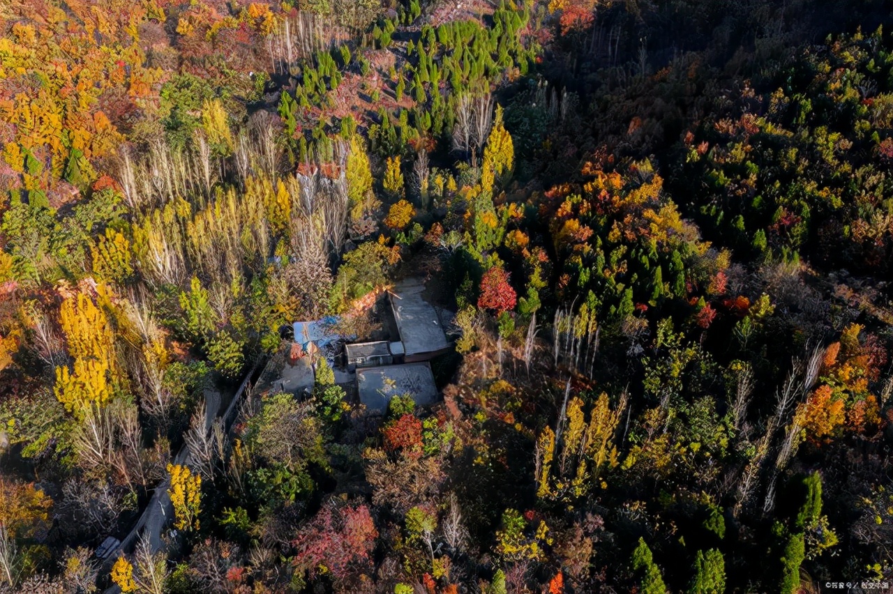 滎陽旅遊景點大全(距鄭州僅40分鐘一山水美景,風景獨特,石頭開花,免票