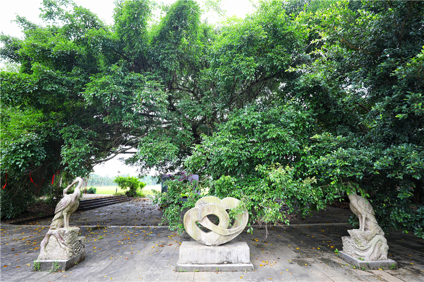 自驾海南，探寻雨林秘境，黎族村落到茶园深处，4天3晚游玩全攻略