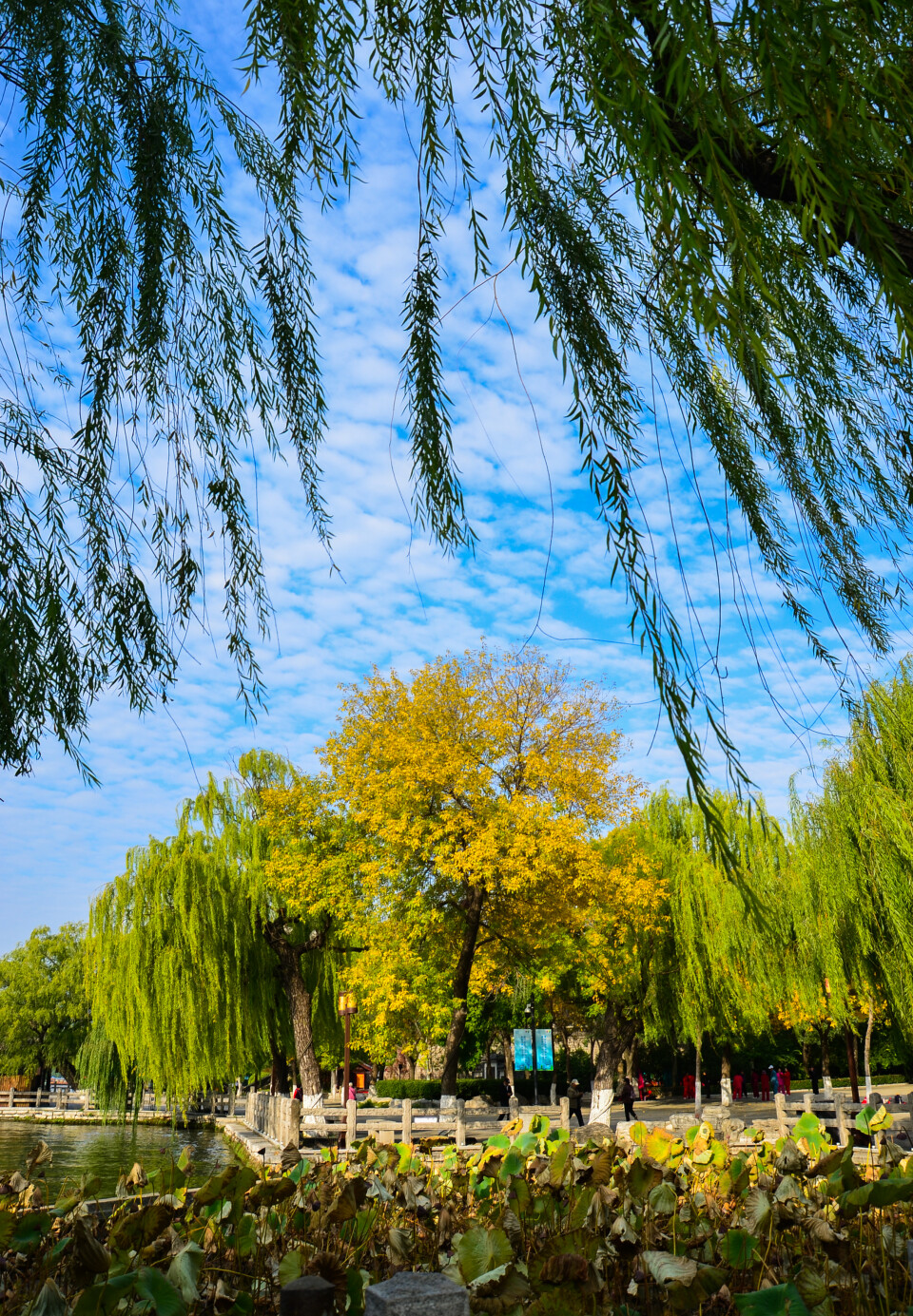 济南有哪些旅游景点（山东济南有哪些旅游景点）-第49张图片-科灵网