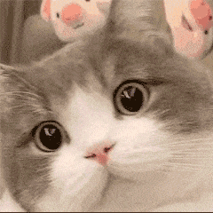 竟然才发现！这3个微信隐藏功能，还真的挺有用