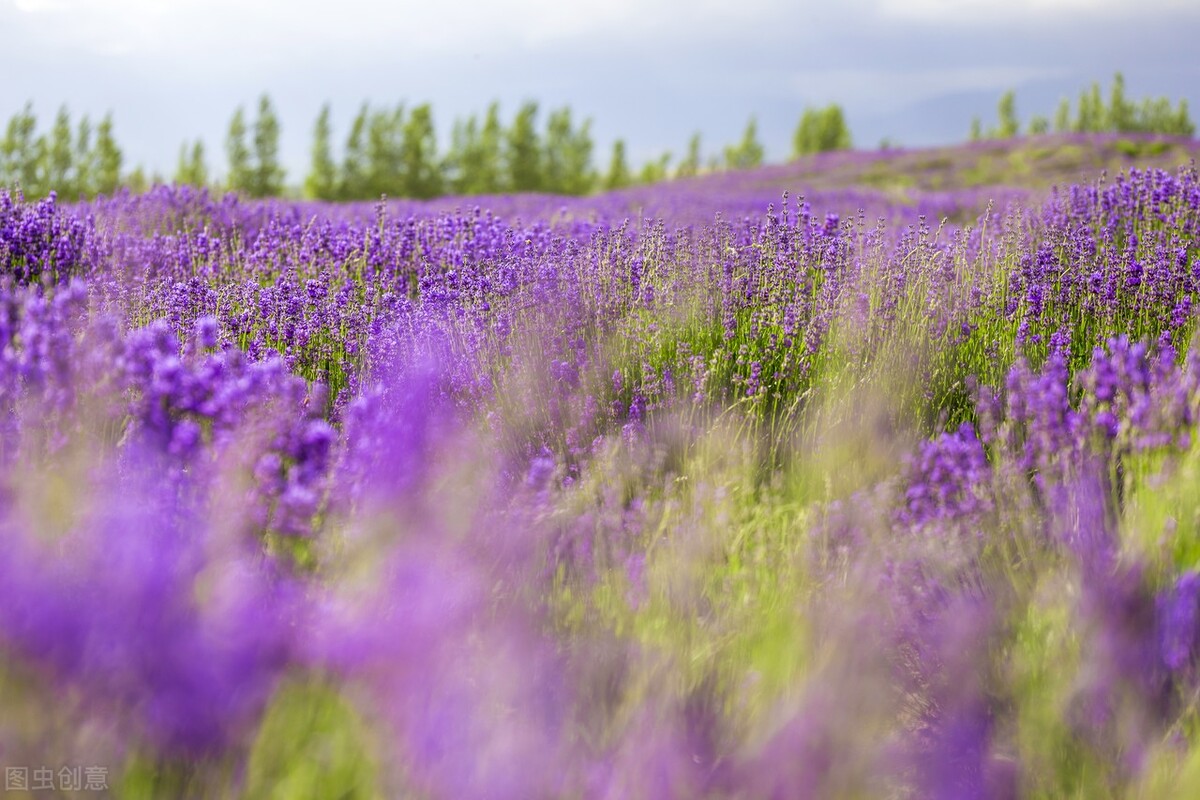 关于成长的唯美句子