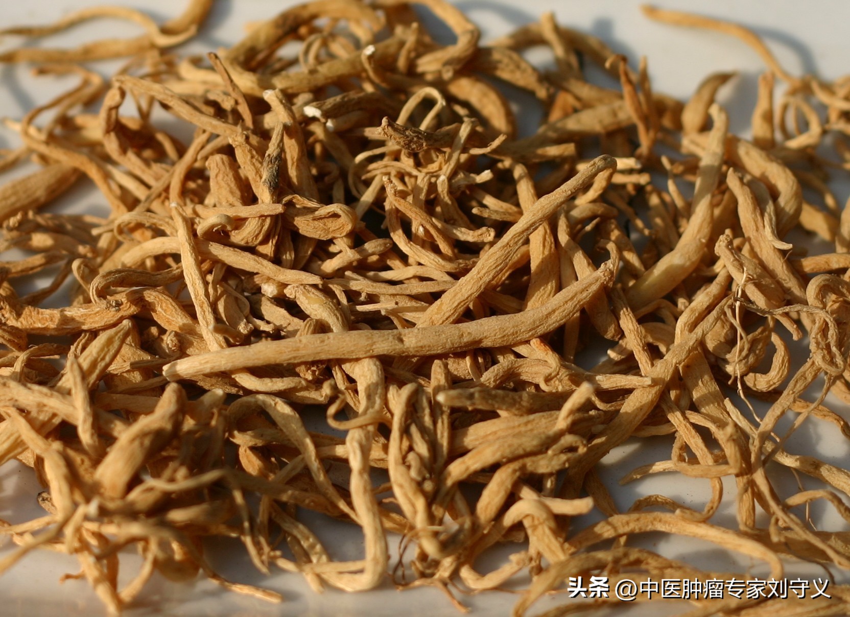 每日一味抗癌中药——太子参,药性平和,广泛应用于各种恶性肿瘤