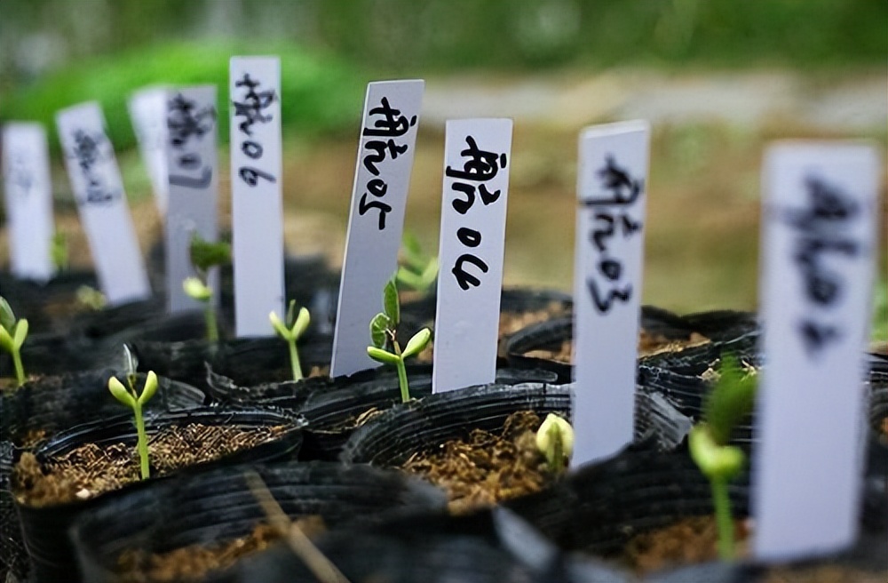 ̫�������г�Զ��2000�ڣ�Ϊ��ҪЯ��������̫�գ��������Ƿ�ȫ