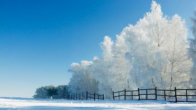 抖音下雪超级火的文案(适合下雪发朋友圈心情说说文案)