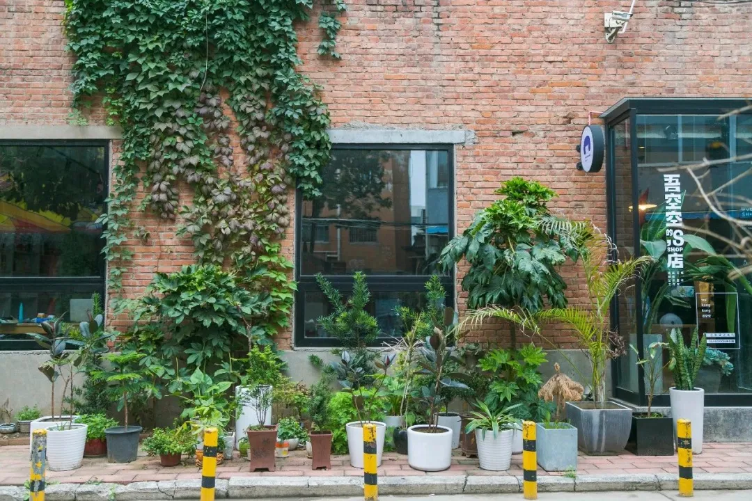 郑州5个高颜值打卡地，是藏在小巷深处的那抹文艺和烟火气