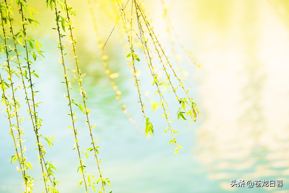春天赏景发朋友圈时，文案这样写最美