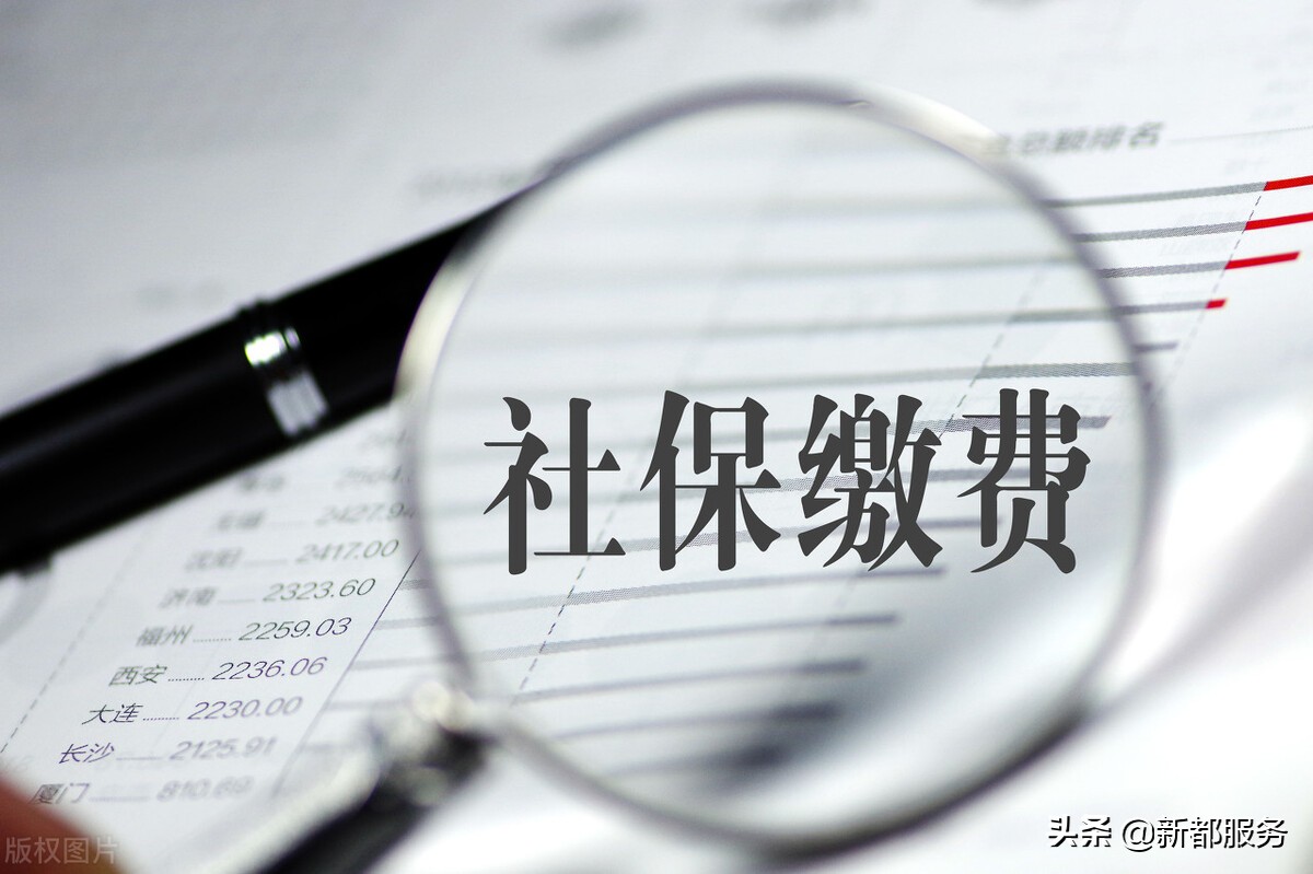 查社保（社保费的缴费记录如何查询）