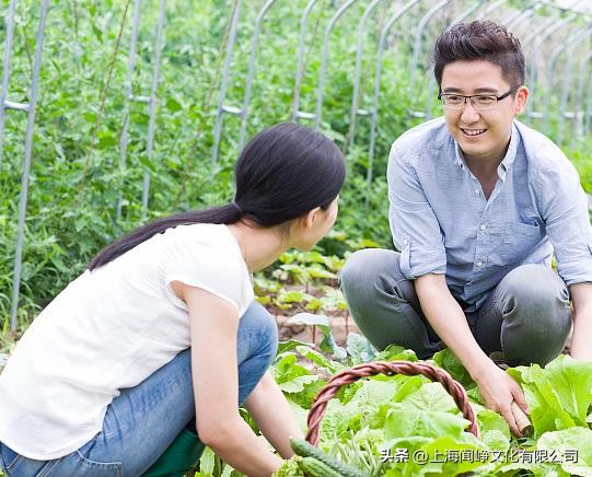 温室环境信息采集与监控系统软件开发功能简析（一）