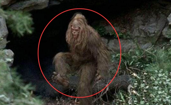 可是,一直到今天,都没有人拍到清晰的"野人"照片