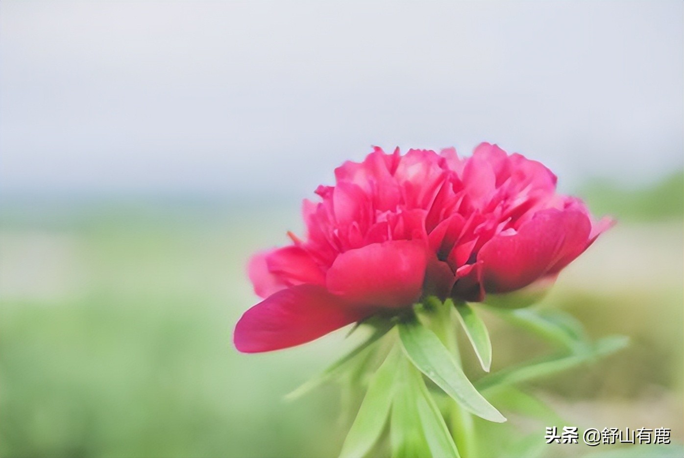 “家有福，天注定”：这几个地方变得干净，是家庭最好的风水