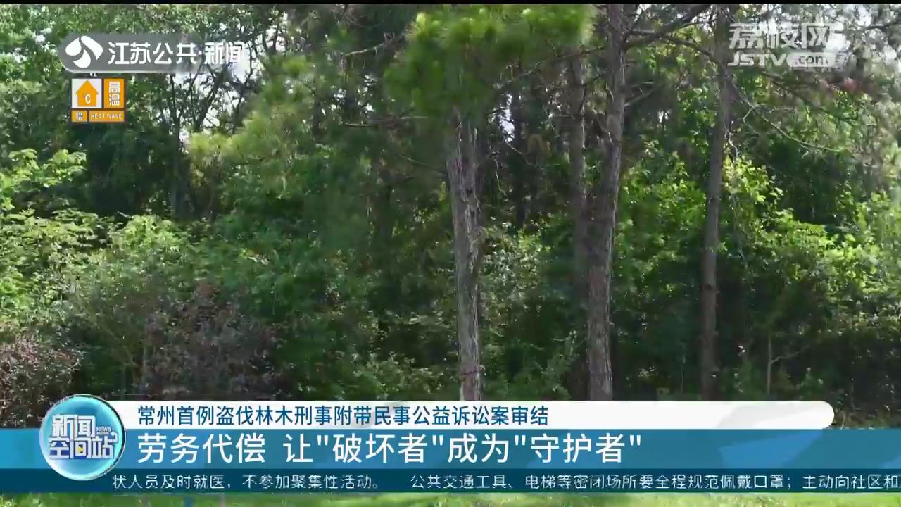 还需劳务代偿！常州首例盗伐林木刑事附带民事公益诉讼案审结