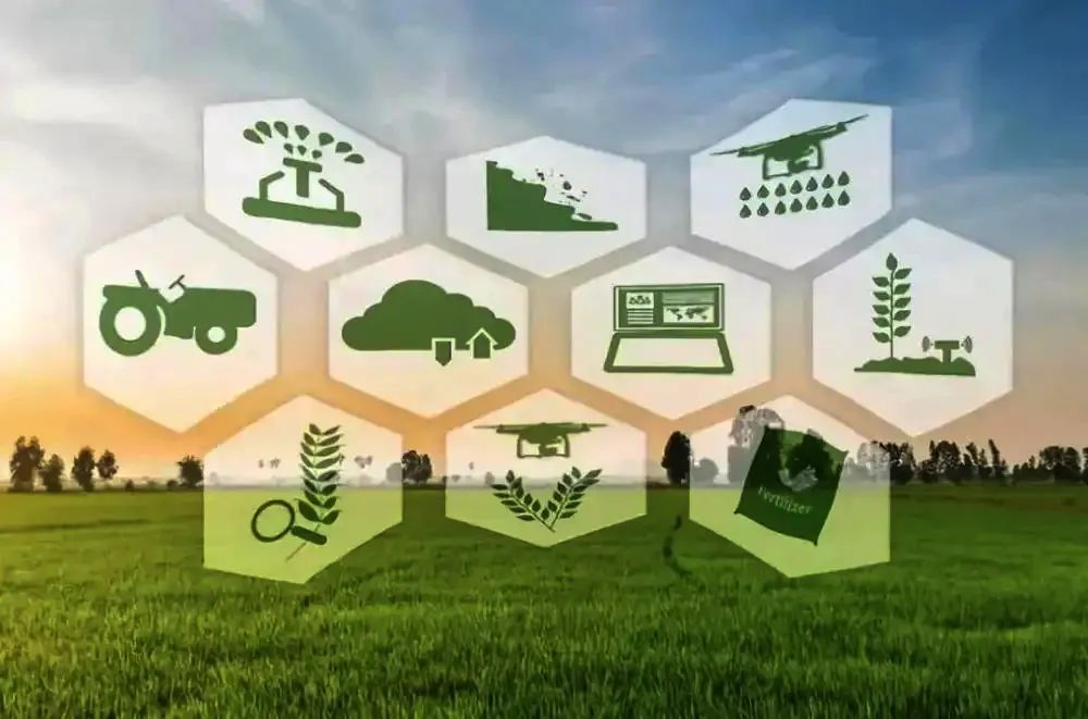 探索冷链与智慧农业的未来，3分钟了解农产品流通行业的发展趋势