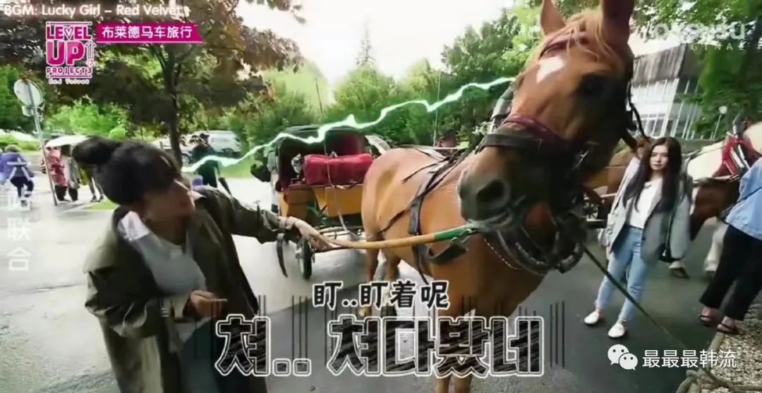 她没惹到任何人