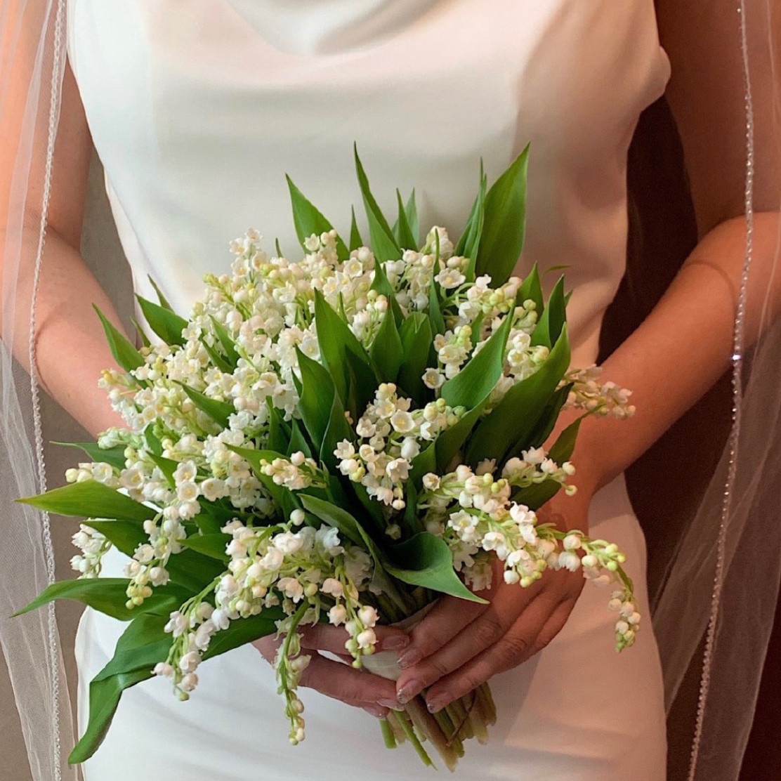 一品红有毒吗(8种"大毒花",路边经常见,漂亮"毒性大",看见别碰它)