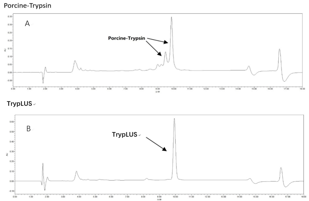 新品上市 | TrypLUS酶，让细胞消化更简单