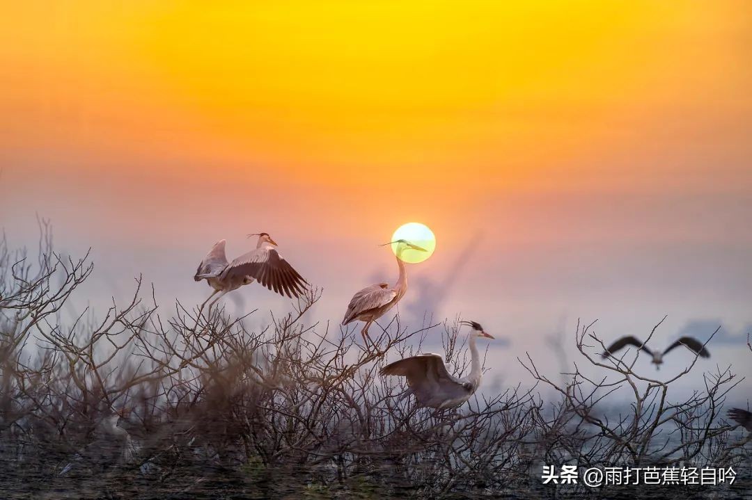 中国唯一被封禁1000年的地方，任何人都不能进入，美到窒息