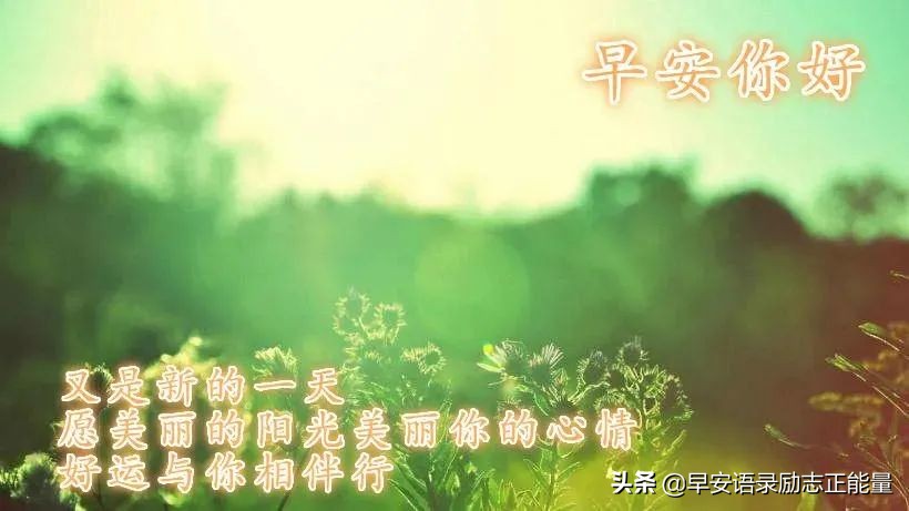 早安心语励志的语句，2022正能量励志语录短句