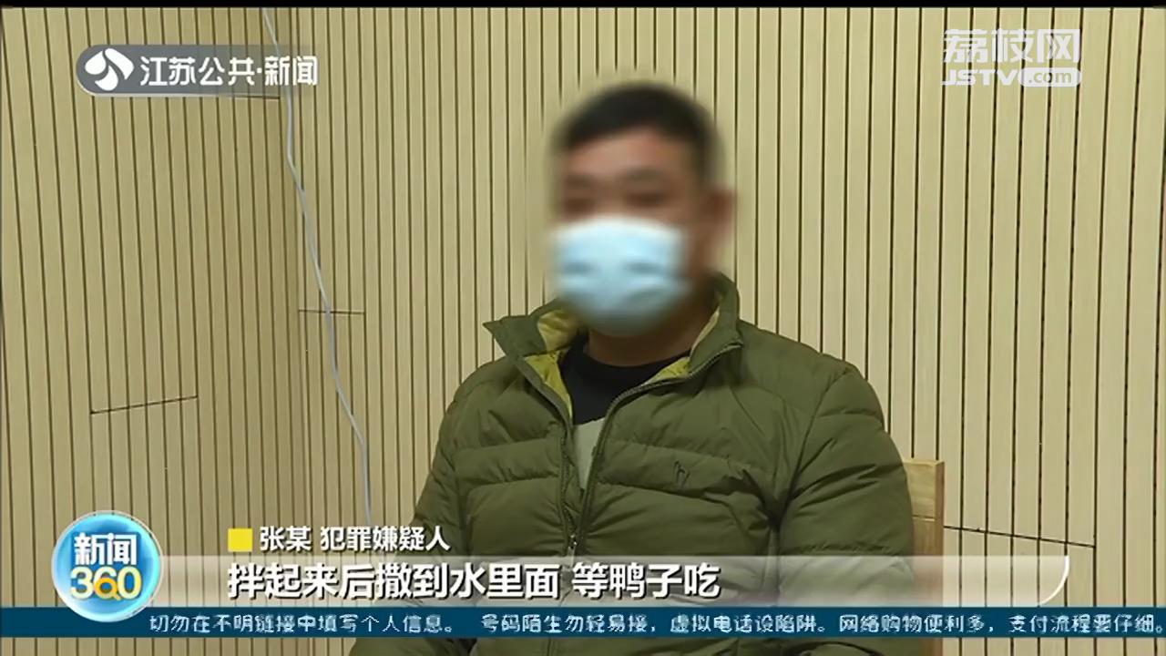 非法毒杀洪泽湖越冬候鸟500余只 七名嫌疑人因“馋嘴”而落网