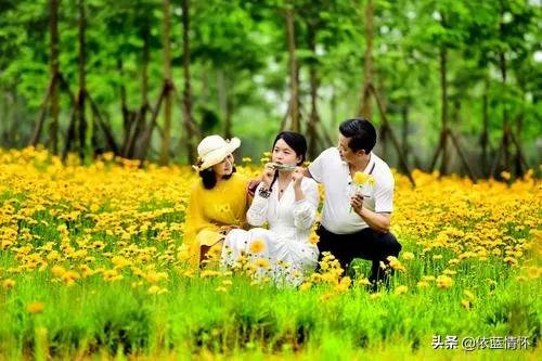 19岁女儿面临生死存亡，离婚后的父母双双归来，重新开始恋爱