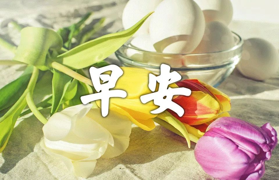 亲爱的老婆早上好图片 早上好问候语图片动态图带字图片