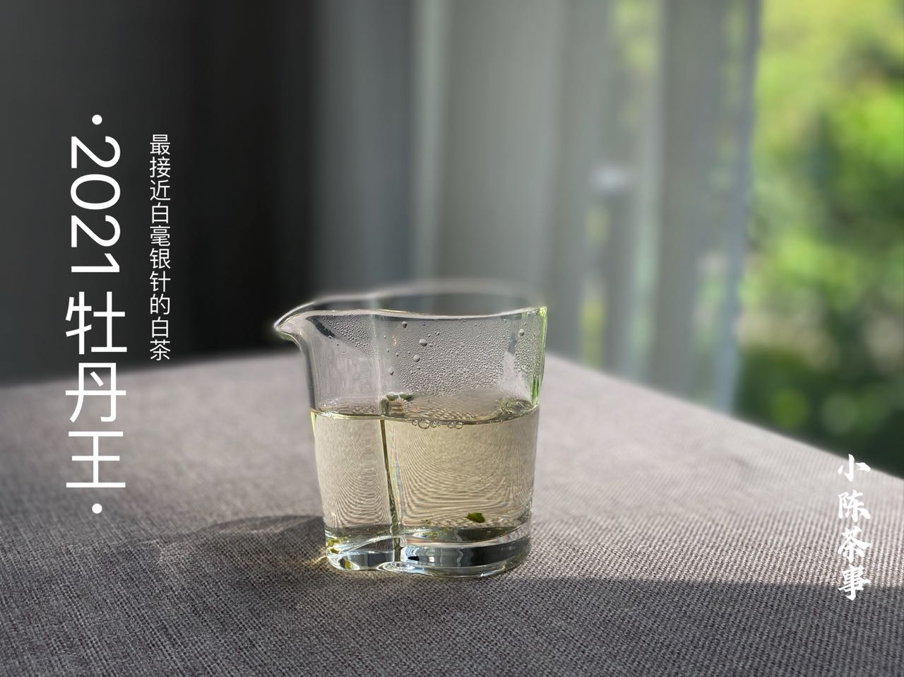 明前茶和明后茶有什么区别（6点实用的白茶冷知识）