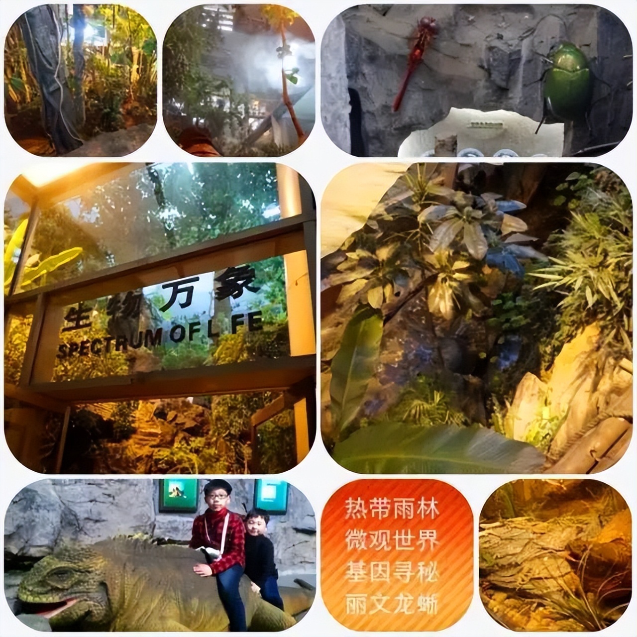 十大工业旅游博物馆，精彩不容错过