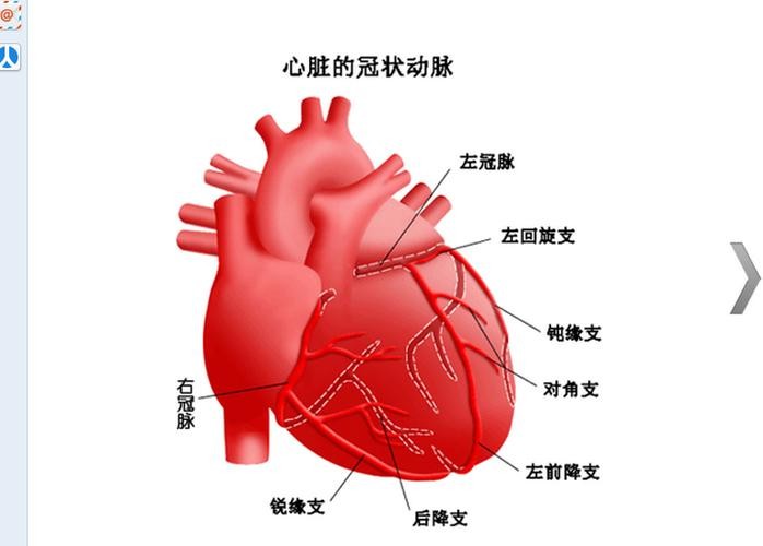 两种中成药,多靶点清理血液,从根上疏通冠脉,改善心肌缺血