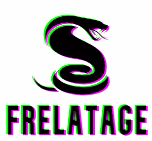 如何使用Frelatage对Python代码进行模糊测试