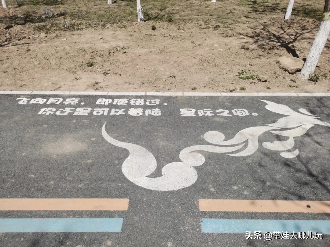 实测北京朝阳区新开的骑行绿道后，我来交个作业