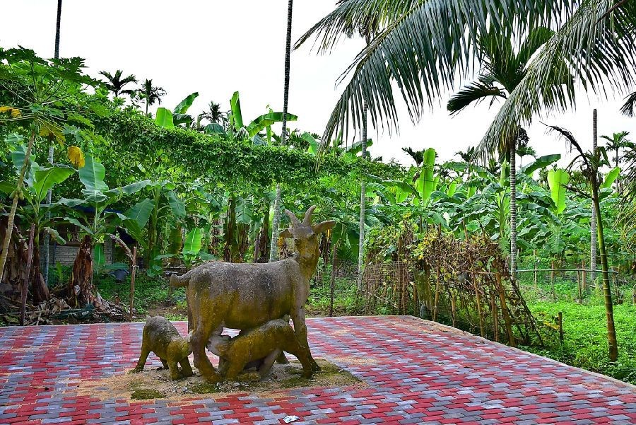 1996年海南小伙救助蟒蛇,为报恩,蛇与小伙同眠当保姆看家护院