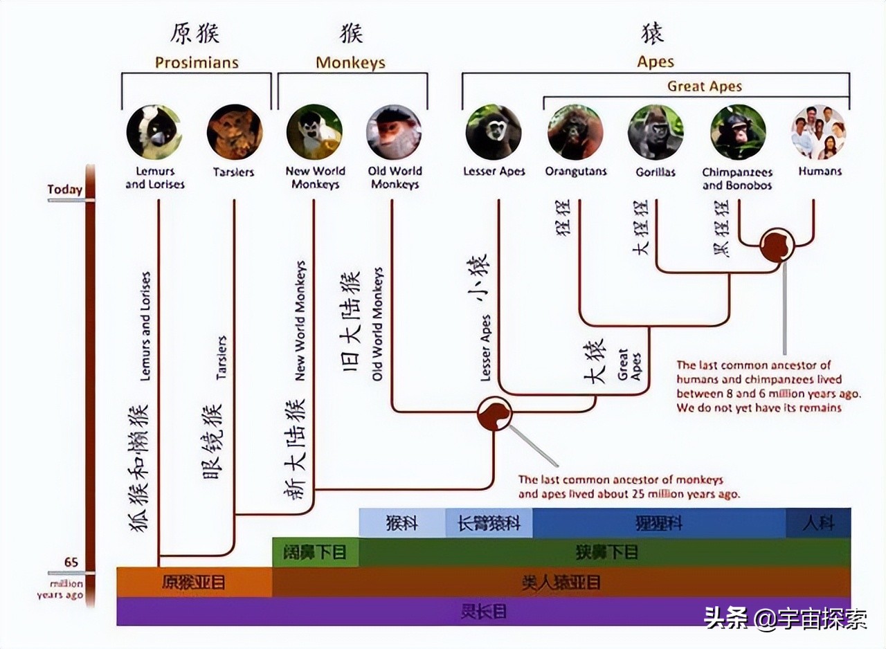 地球上本来没有人，那第一个男人和女人是怎么诞生的？