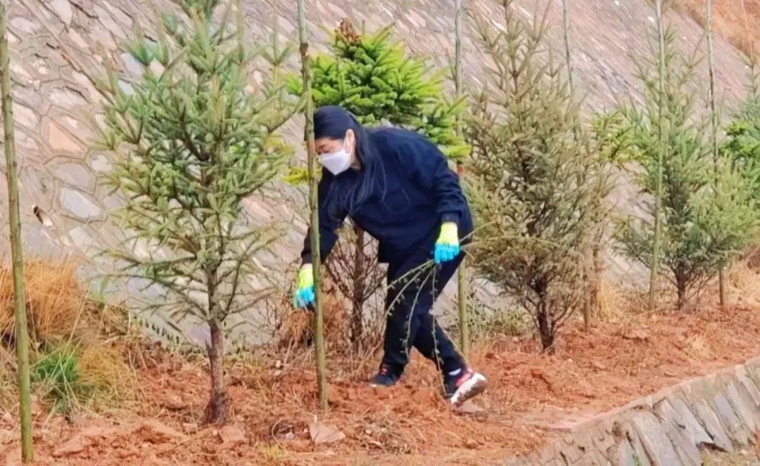 生态筑梦，绿色先行——临潭县开展山水林田湖草沙系统治理和公路沿线环境整治活动