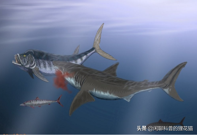 盘点史前海洋十大巨兽，从寒武纪走过始新世，每个时代顶级捕食者
