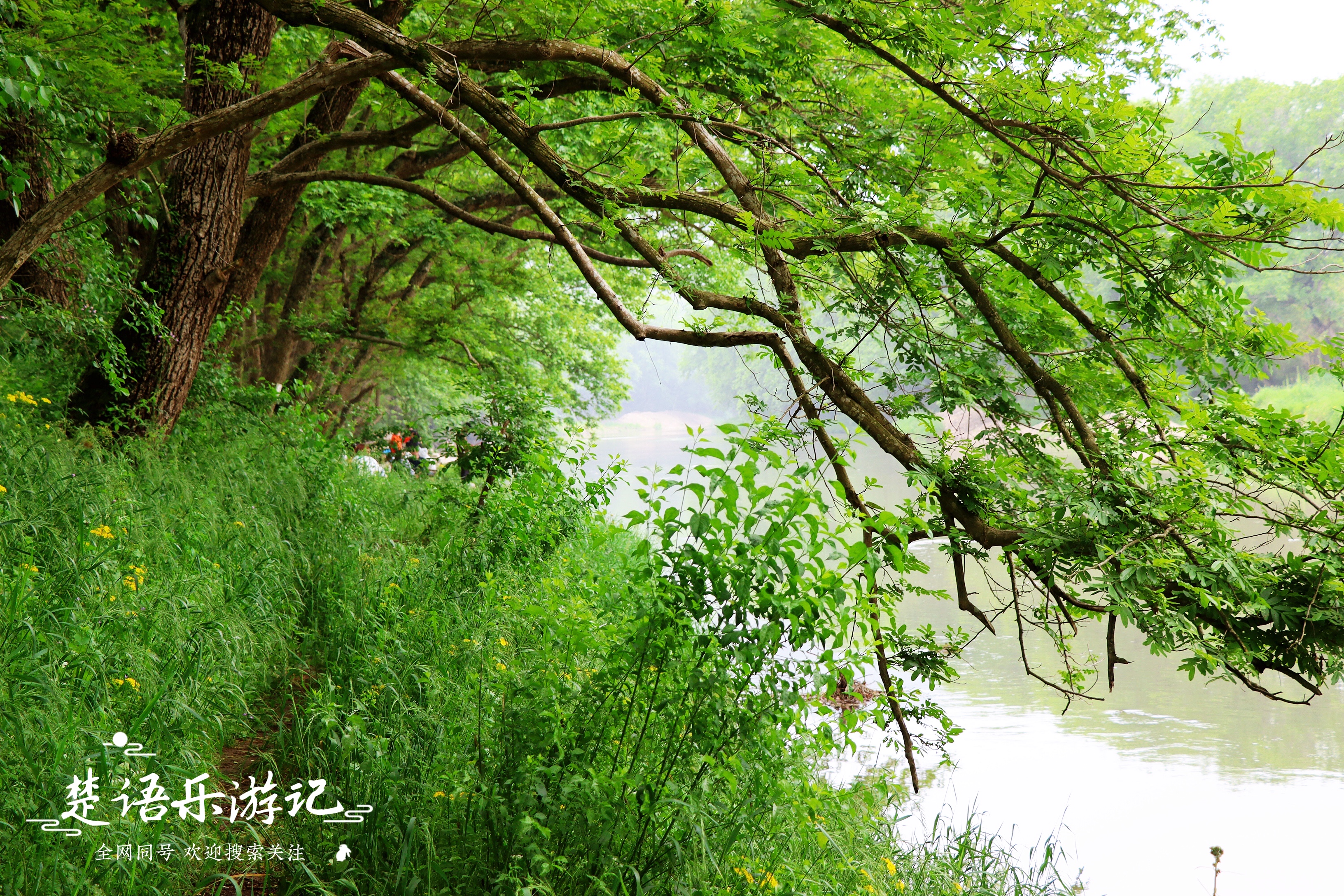 宁波的治愈系风景，全程无死角，游人如织却依然受追捧，真的好美