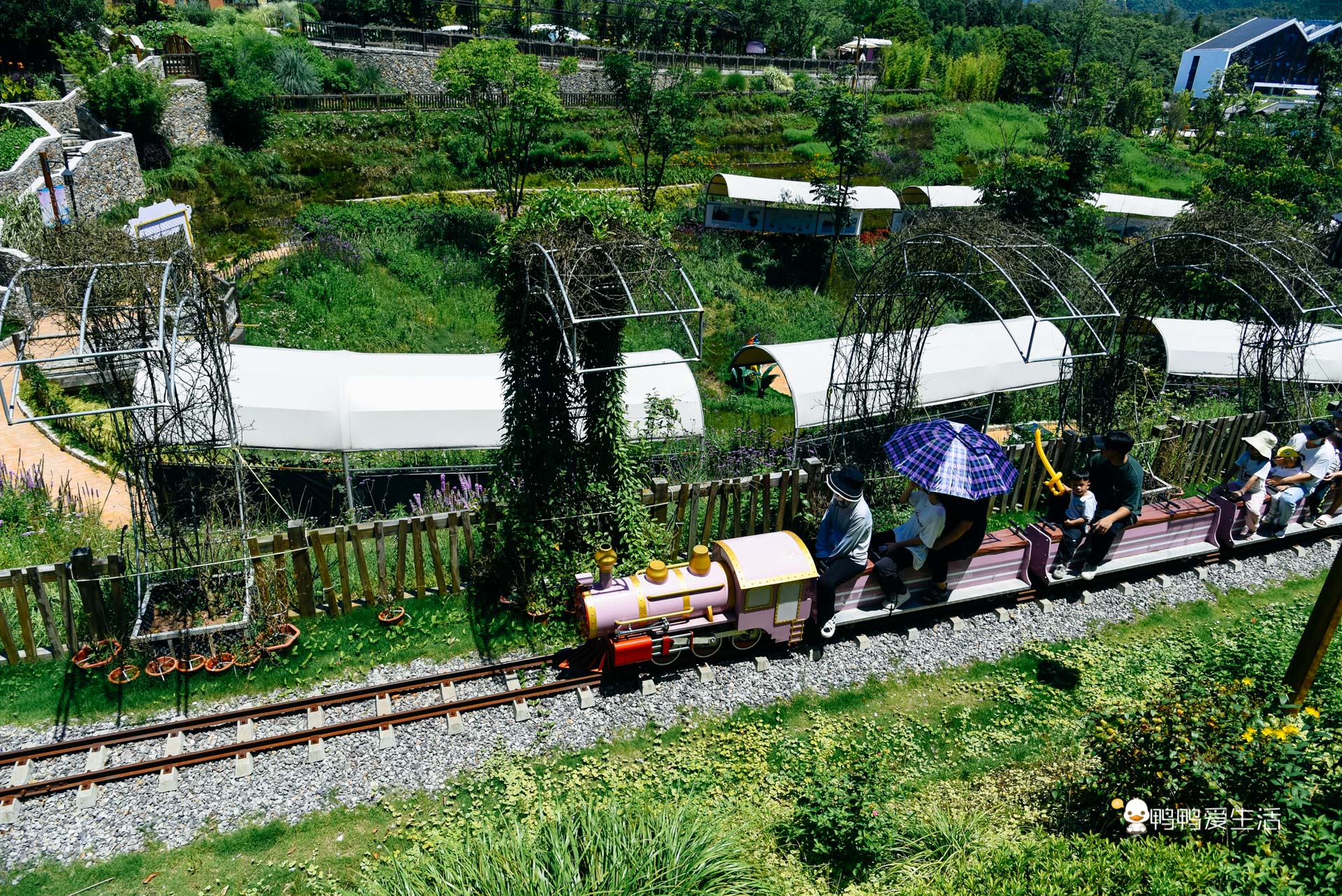 温州泰顺：住进超五星酒店泡温泉，假装在奈良逗小鹿，无比惬意