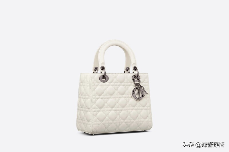 Dior Saddle、Book Tote到最新Micro Bag，一定要认识的5大经典包