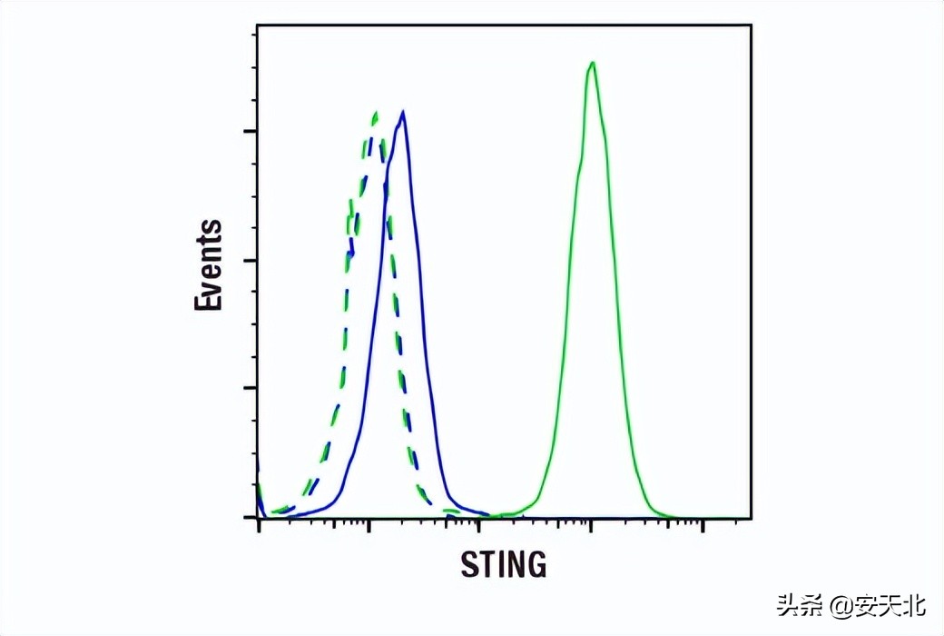 6月上市的经严格验证的全新抗体、试剂及试剂盒-伊诺凯