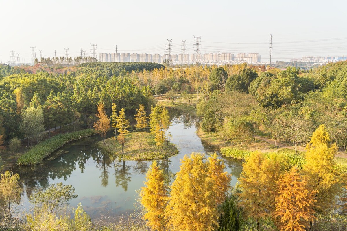 常州有什么好玩的地方旅游景点（常州有什么好玩的地方旅游景点免费）-第13张图片-易算准