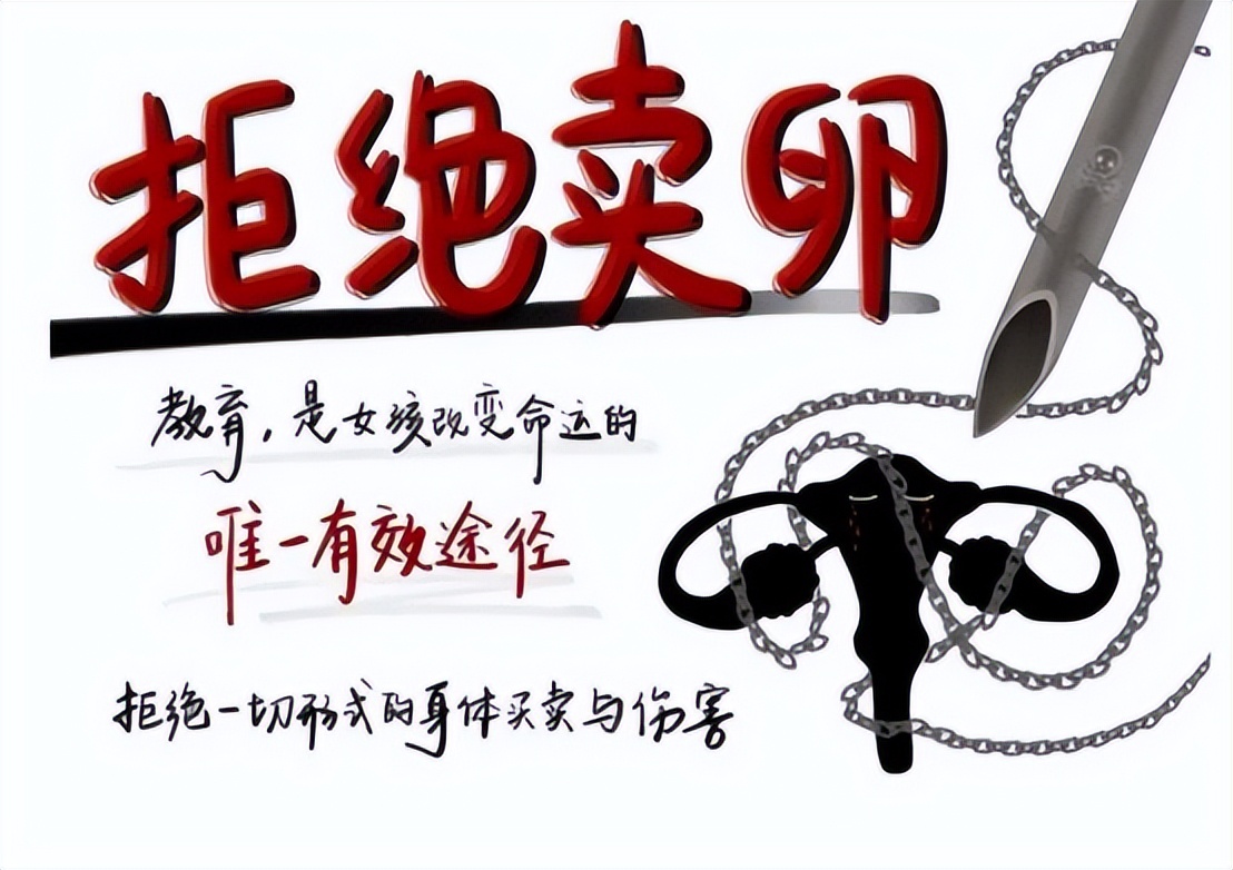 卖卵黑市:专攻女大学生,颜值学历成卖点,不打麻药穿刺下身