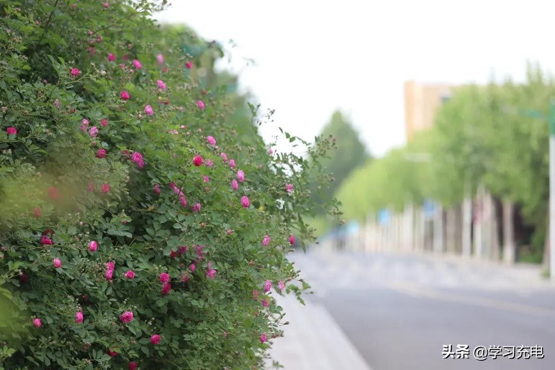 山东现代学院，是一座怎样的学校？