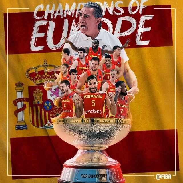 本届欧洲杯最佳球员(欧洲杯最佳阵容出炉：西班牙两大功臣领衔 字母哥施罗德戈贝尔入选)