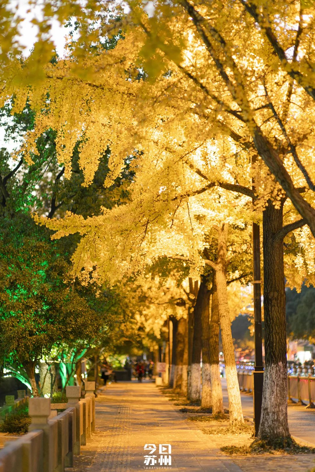 苏州16个绝美赏秋圣地，大部分免费，别错过